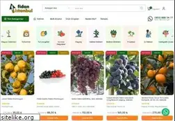 Sites similar to fidanistanbul.com