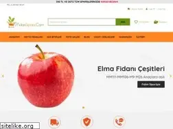 Sites similar to fidansiparis.com