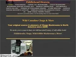 Sites similar to fiddleheadheaven.com