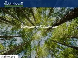 Sites similar to fiddleheadshealth.com