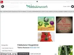 Sites similar to fidebulunur.com