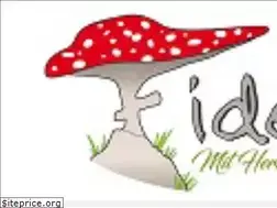 Sites similar to fideo-online.de