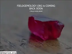 Sites similar to fieldgemology.org