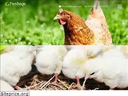 Sites similar to fienhage.com