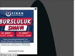 Sites similar to figenegitimkurumlari.com