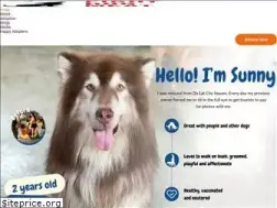 Sites similar to fightdogmeat.com
