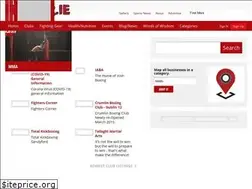 Sites similar to fighter.ie