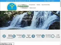 Sites similar to figueirao.ms.gov.br