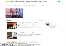 Sites similar to fikirbudur.com