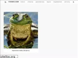 Sites similar to fikiwiki.com