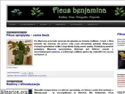Sites similar to fikusbenjamina.blogspot.com