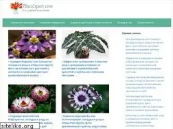 Sites similar to fikusexpert.com