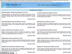 Sites similar to filerecovery.in