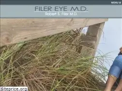 Sites similar to filereyemd.com