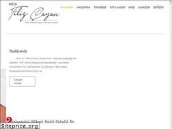 Sites similar to filizcayan.com
