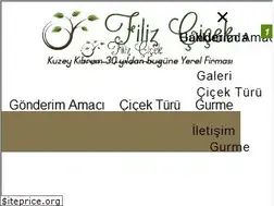 Sites similar to filizcicek.com