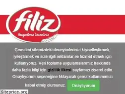 Sites similar to filizmakarna.com