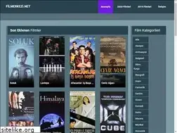 Sites similar to filmerkezi.net