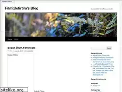 Sites similar to filmizletirtim.wordpress.com