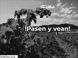 Sites similar to fincacollado.com