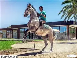 Sites similar to fincagiardino.com