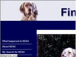 Sites similar to findingbeau.com