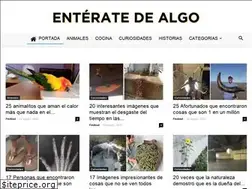 Sites similar to findoutnetwork.net