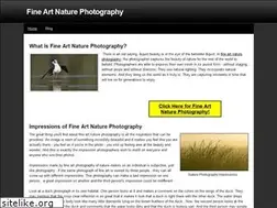 Sites similar to fineartnaturephotography.weebly.com