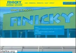 Sites similar to finickywindowcleaning.com
