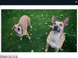 Sites similar to finneyvetclinic.com