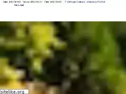 Sites similar to fioreaudi.com
