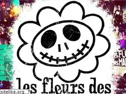 Sites similar to fiorellastri.it