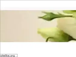 Sites similar to fioriamonza.it