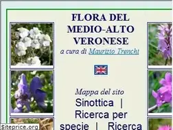 Sites similar to fioridellalessinia.com