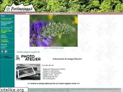 Sites similar to fioridimontagna.it