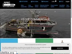 Sites similar to fipec.qc.ca