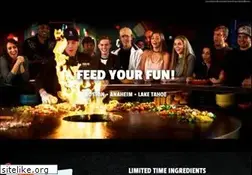 Sites similar to fire-ice.com