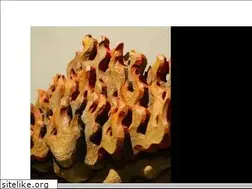 Sites similar to fireplace.co.jp
