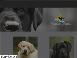 Sites similar to firewaterlabradors.com
