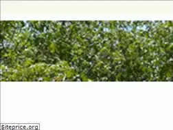 Sites similar to firstbanklubbock.com