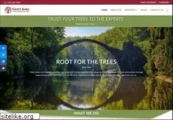 Sites similar to firstchoicetree.com