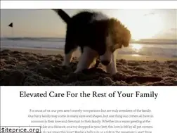 Sites similar to firstflightvet.com
