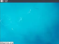 Sites similar to firststeporegon.org