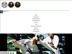 Sites similar to firsttaekwondo.com.au
