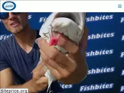 Sites similar to fishbites.com