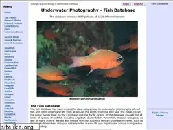 Sites similar to fishdb.co.uk