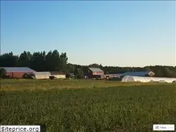 Sites similar to fisherhillfarm.com