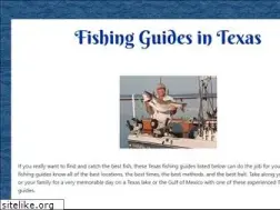 Sites similar to fishingguidesintexas.com