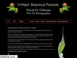 Sites similar to fishmanbotanicalportraits.com