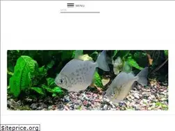 Sites similar to fishtanksetups.com